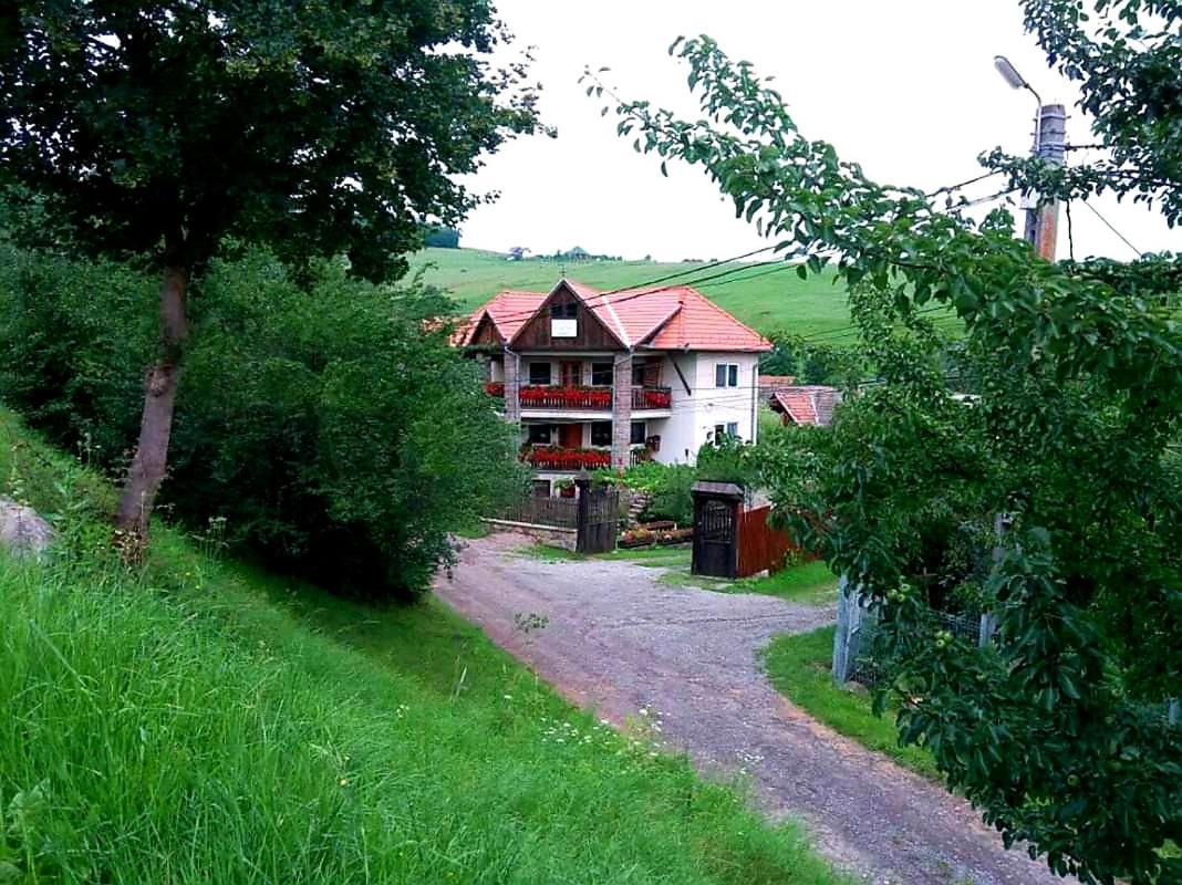 Pensiunea Bordas Panzio Сфынту-Георге Экстерьер фото