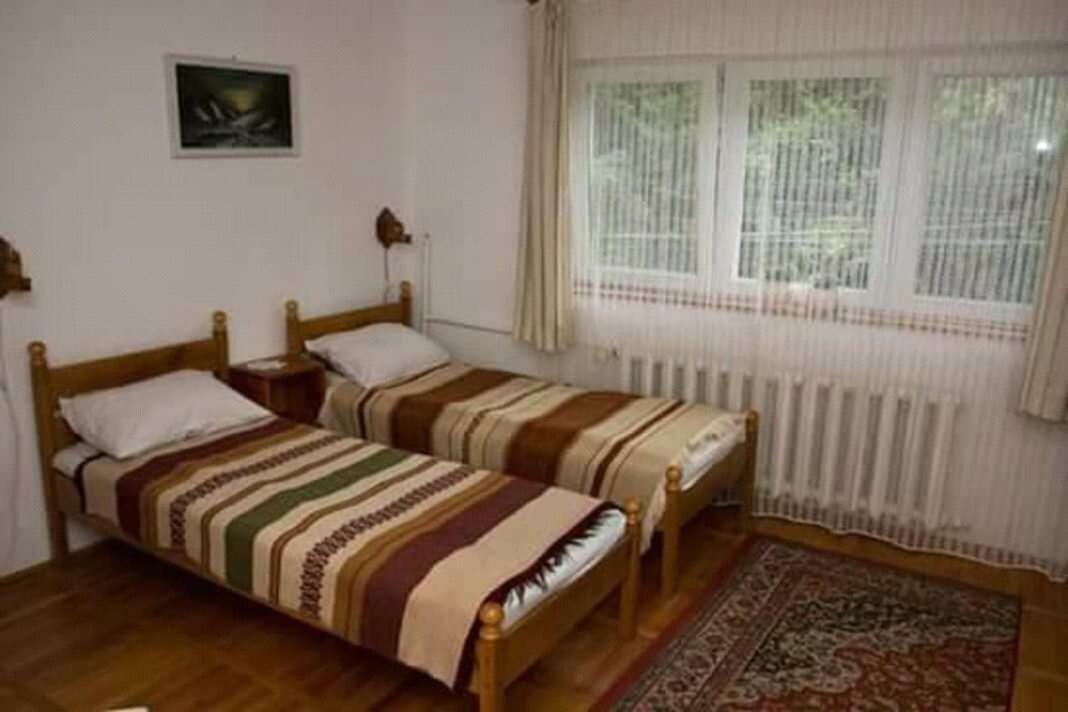 Pensiunea Bordas Panzio Сфынту-Георге Экстерьер фото